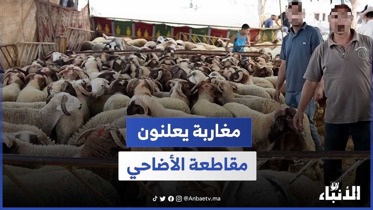 مغاربة يعلنون مقاطعة الأضاحي: الأثمنة خيالية والأجرة لا تكفينا لمواجهة الغلاء