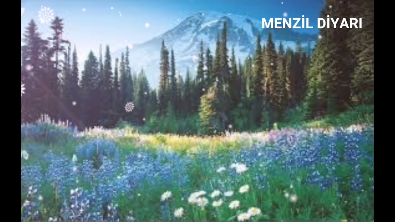 Tasavvufdaki  Manevi Yol Yarbay Mehmet Ildırar Rahmetillahi Aleyh (Menzil Diyarı)