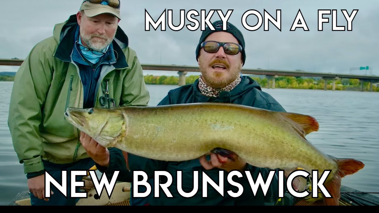 Incredible Musky Fishing | New Brunswick