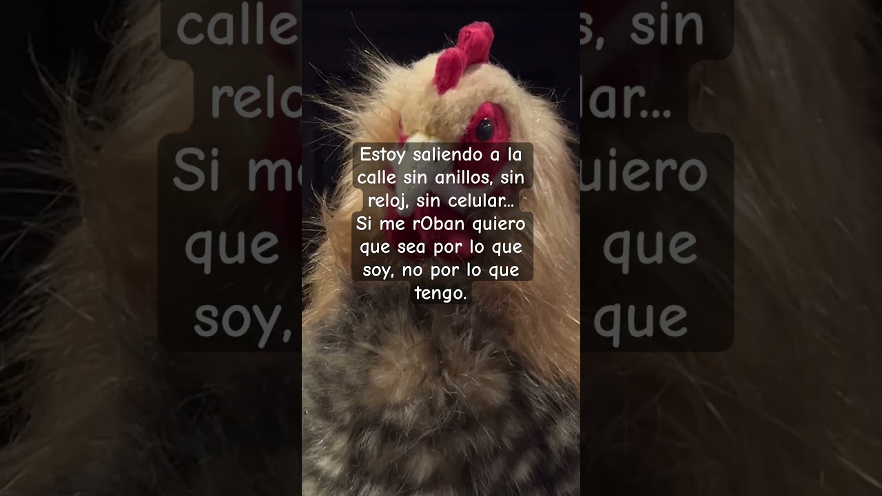 #videonuevo #humor #memesespanol #subscribanse #funnymemes #youtube #memes