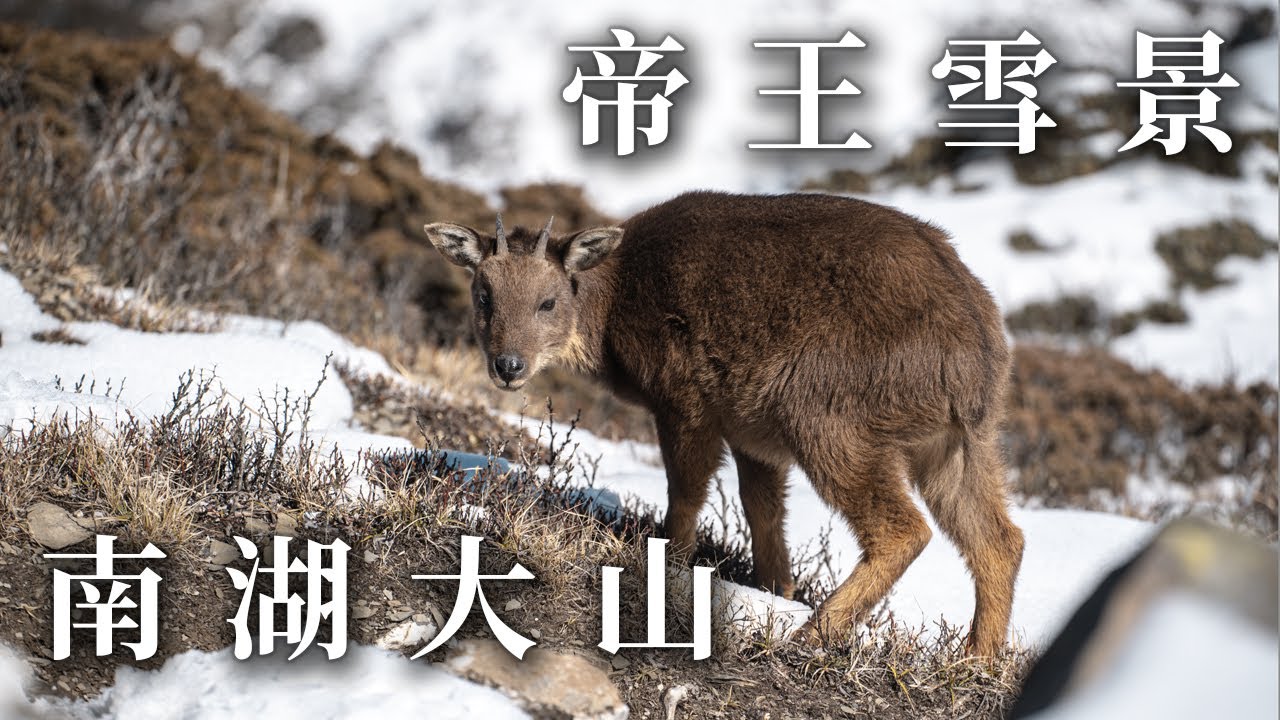 雪季南湖大山 | 帝王之山雪景 | 南湖大山3天2夜 | 沉浸式登山體驗