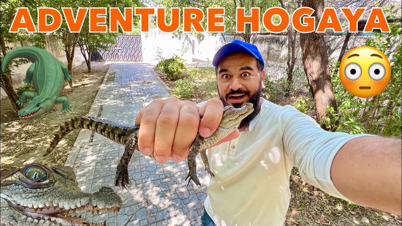 Aj crocodile ke ghar me chale gae adventure ke lye 🐊😳