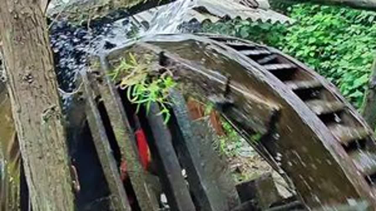 #秘境 #发现 #野外户外 #通城 #平江周边游 古法造纸