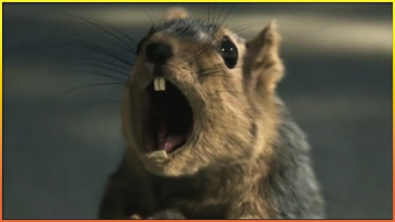 Funniest Bridgestone Commercials 🏎