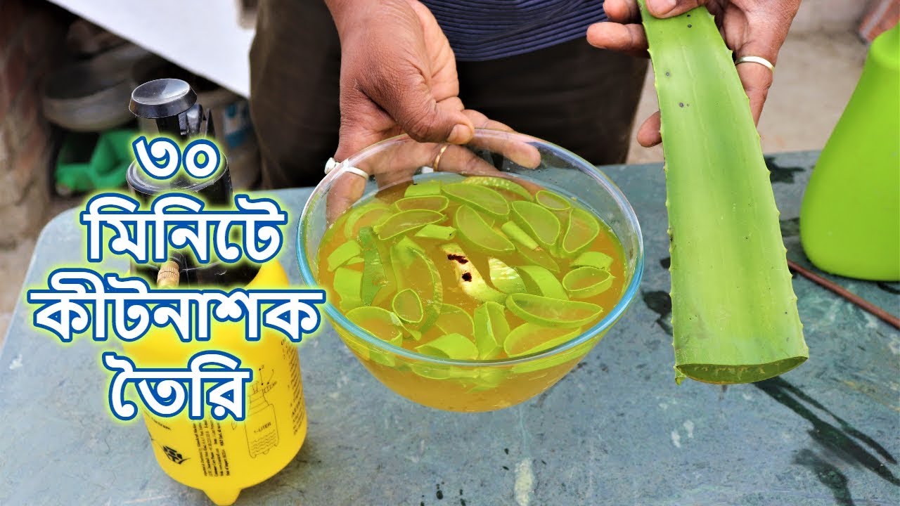 বাড়িতে ৩০মিনিটে তৈরি করুন জৈব কীটনাশক সব ধরনের গাছের জন্য  || Organic Pesticides for Any Plants