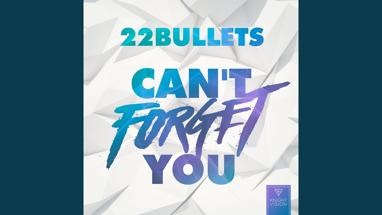Can't Forget You