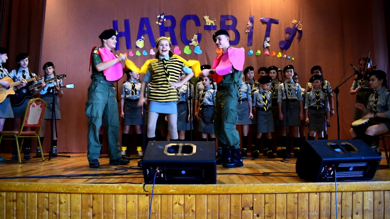 Pszczółka Maja / My jesteśmy nie do zdobycia - 2 DH 