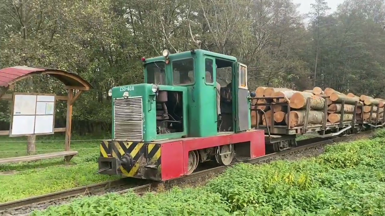 Waldbahn Lenti und Csömöder im Oktober 2022
