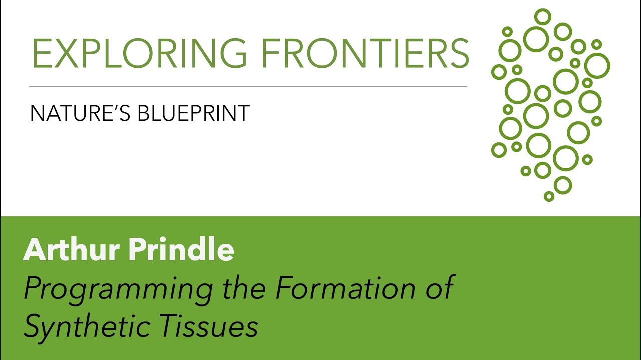 Arthur Prindle | Emergent Metabolic Dynamics in Microbial Communities