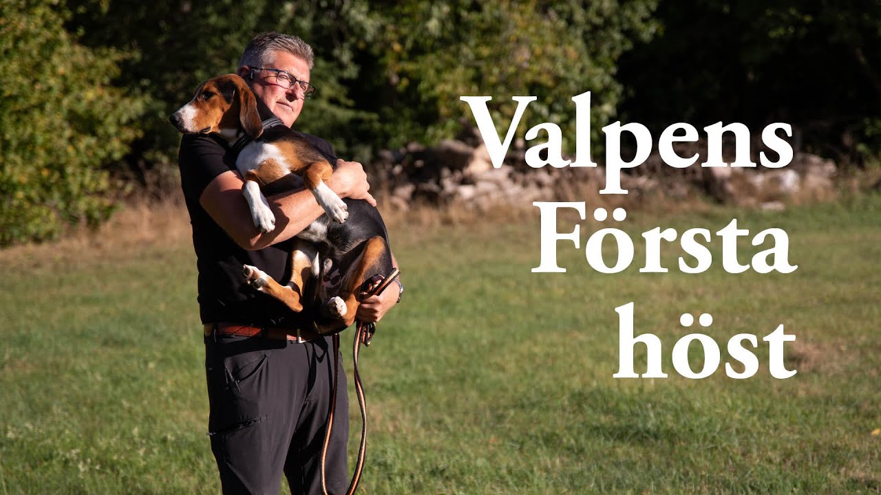 Valpens första höst