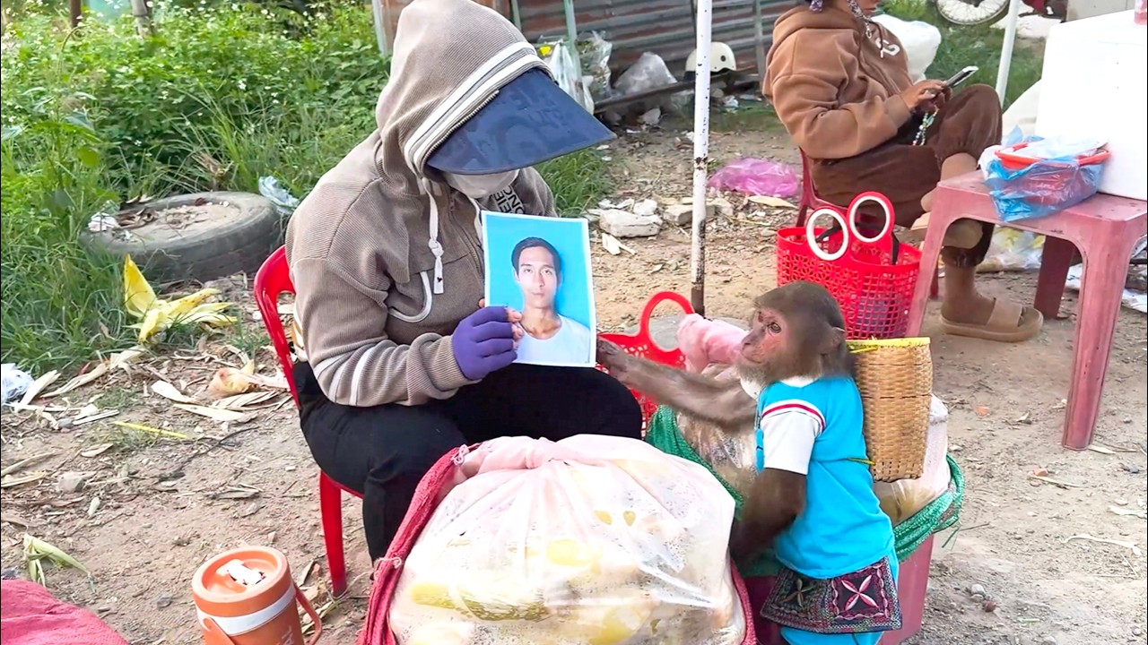 Too Sweet! CUTIS Secretly Leaves Home to Find Dad