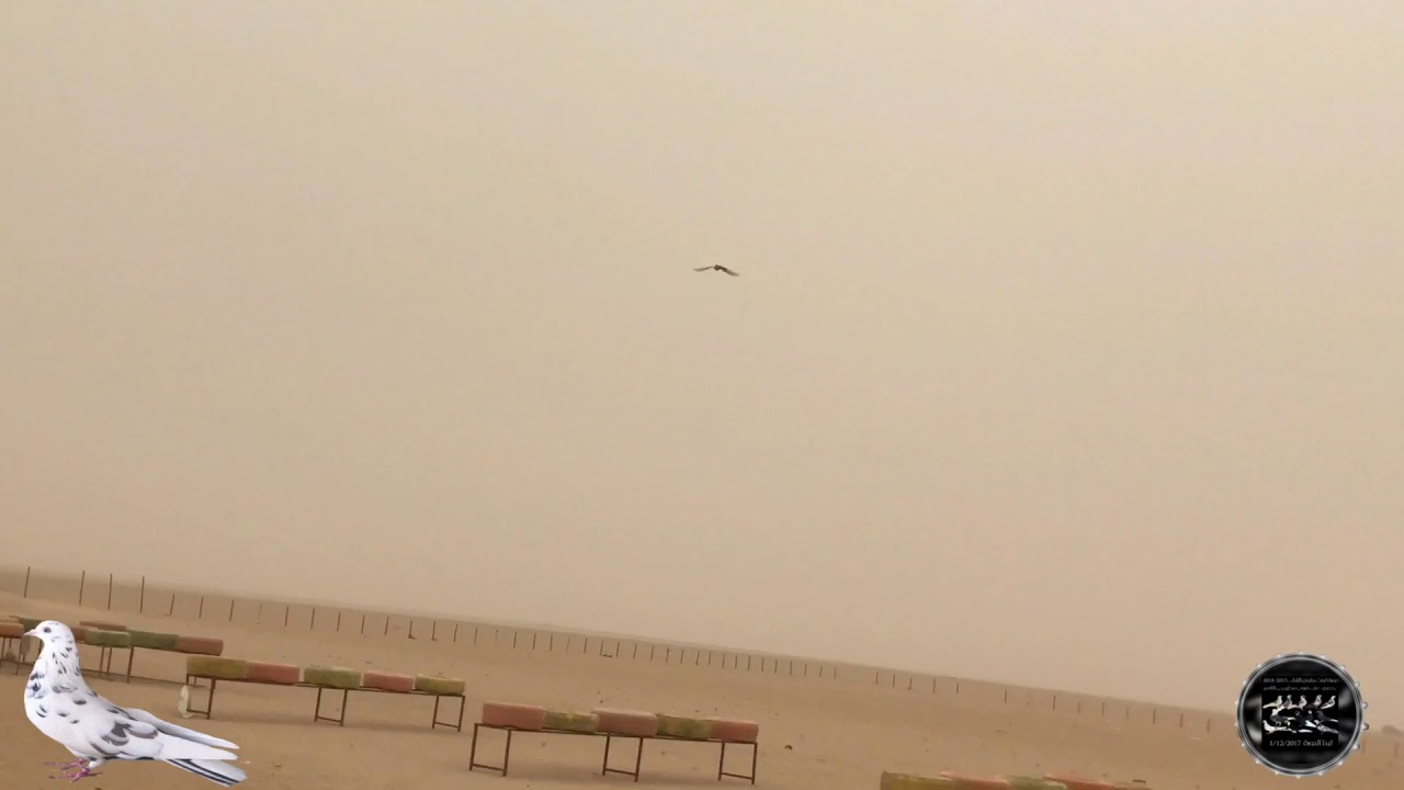 حمام لوت ولون ( الفاتنه ) 2018