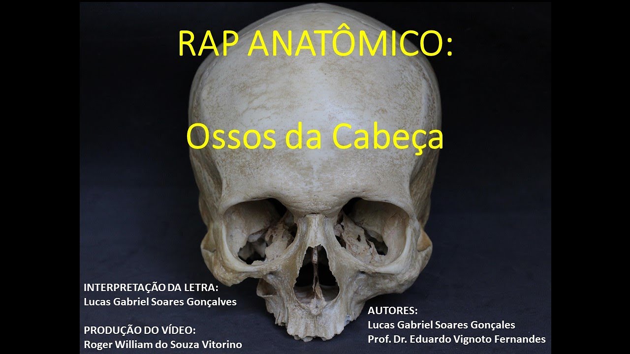 RAP ANATÔMICO (ILUSTRATIVO): Ossos da Cabeça - Anatomia Humana - Ensino Superior