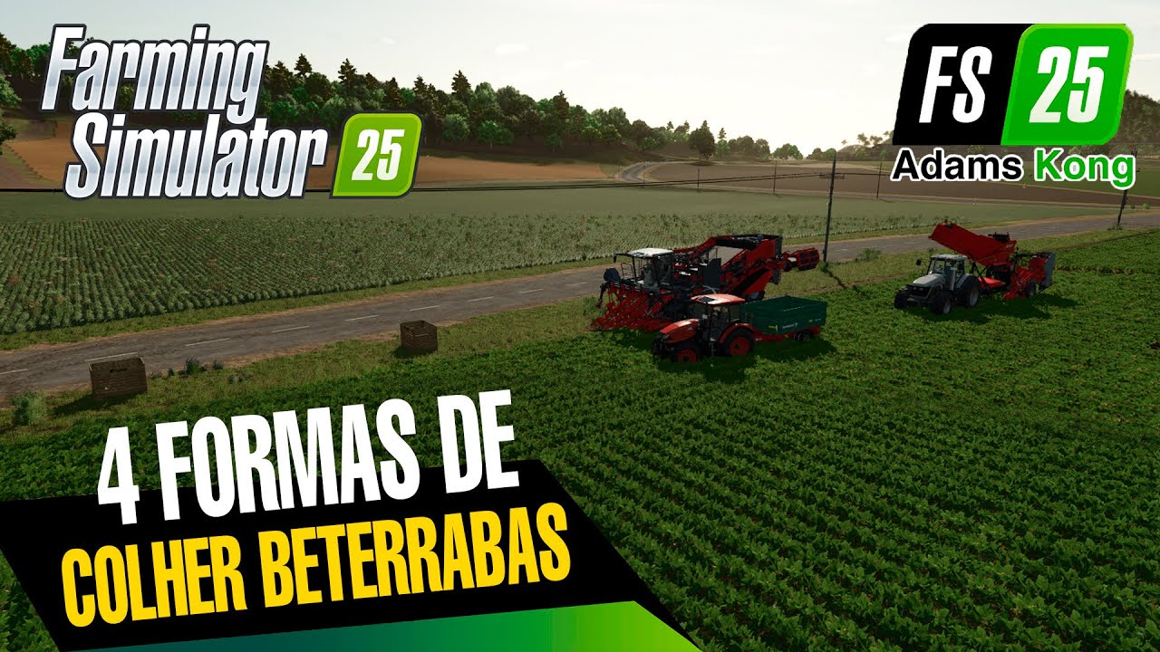 FS25: Tutorial completo de preparação, plantio e colheita de BETERRABAS VERMELHAS | FARMING 25