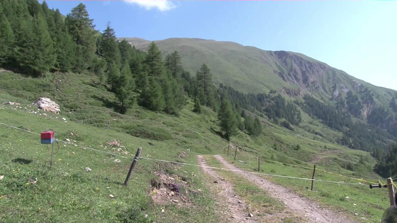 Alpe Furggen