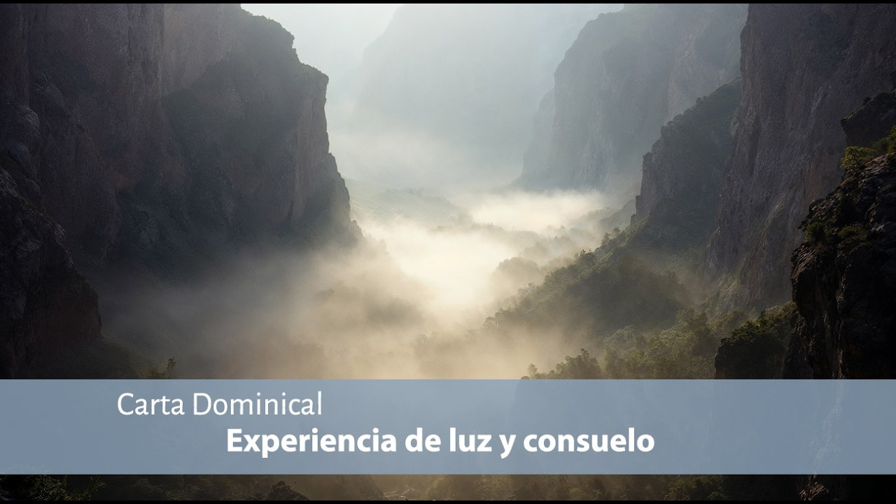 [CARTA DOMINICAL]-Experiencia de luz y consuelo