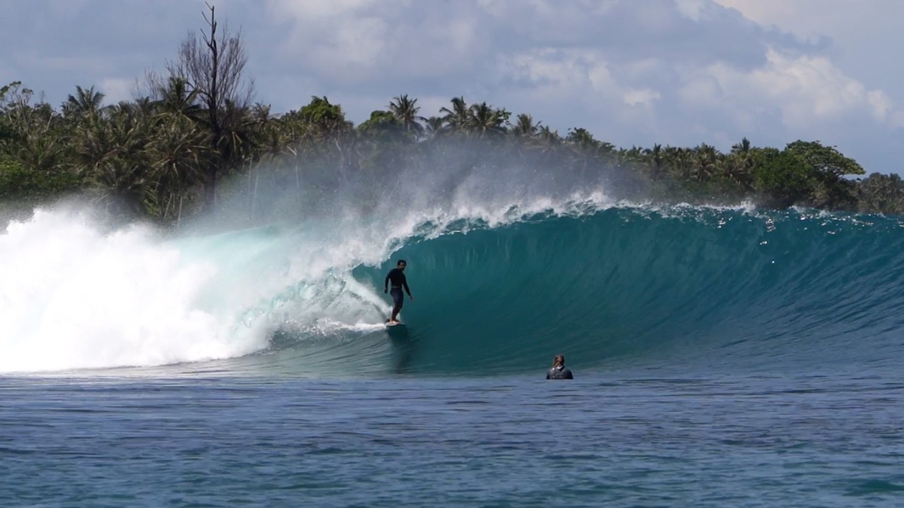GREENBUSH: O SONHO E PESADELO DAS MENTAWAIS!