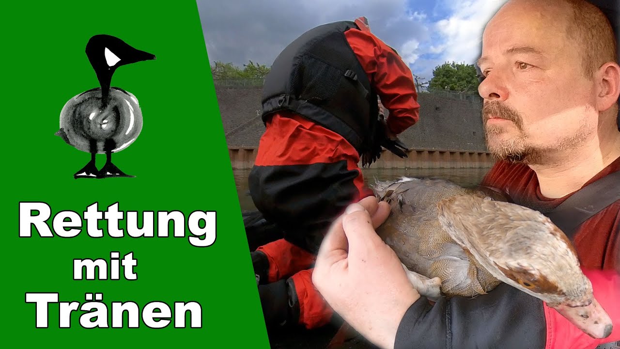 Tierrettung mit Tr&auml;nen - Tiernotruf #301