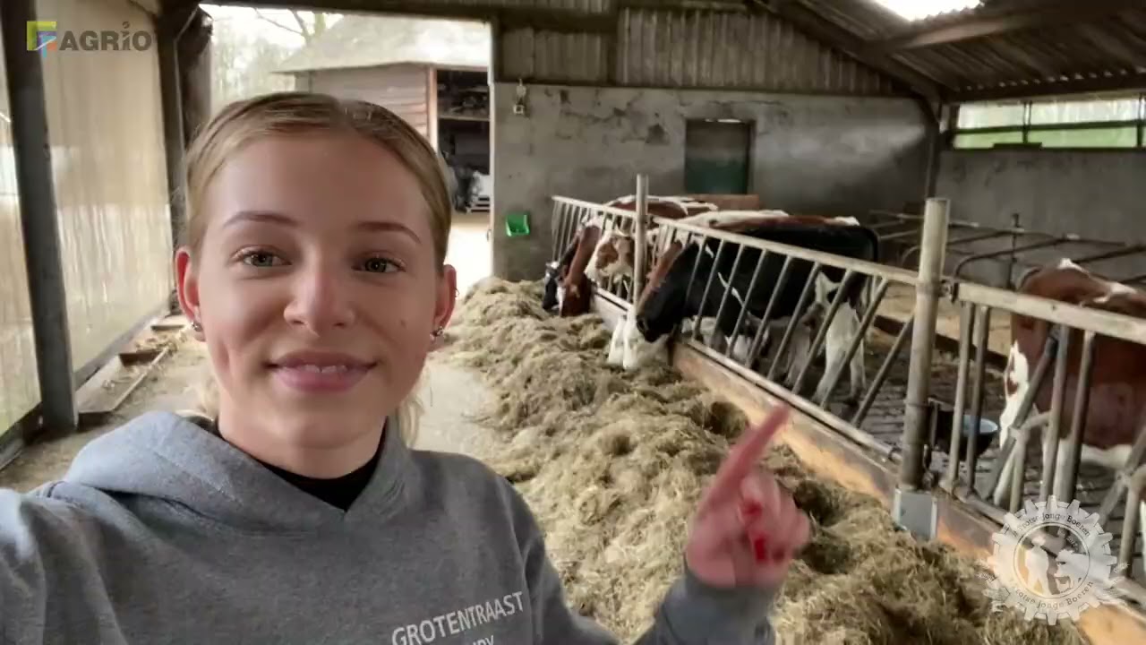 Rondleiding op ons melkveebedrijf! - Gastvlog Anna Grotentraast