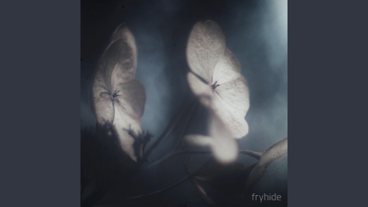 Polyna