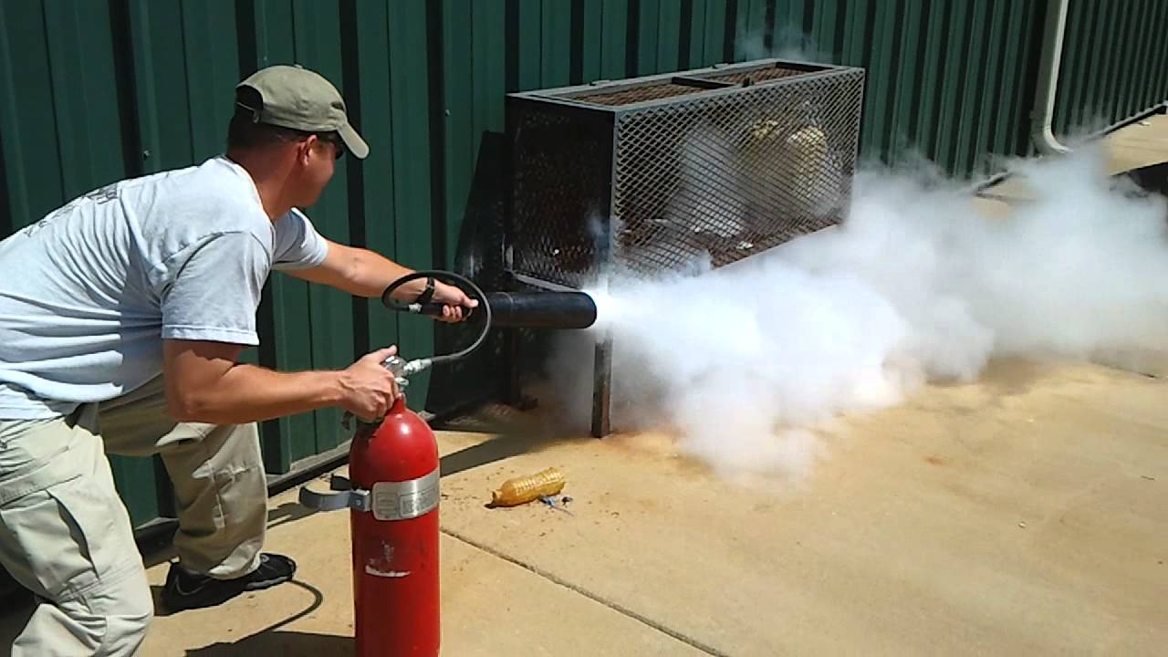 CO2 wosts (wasps)