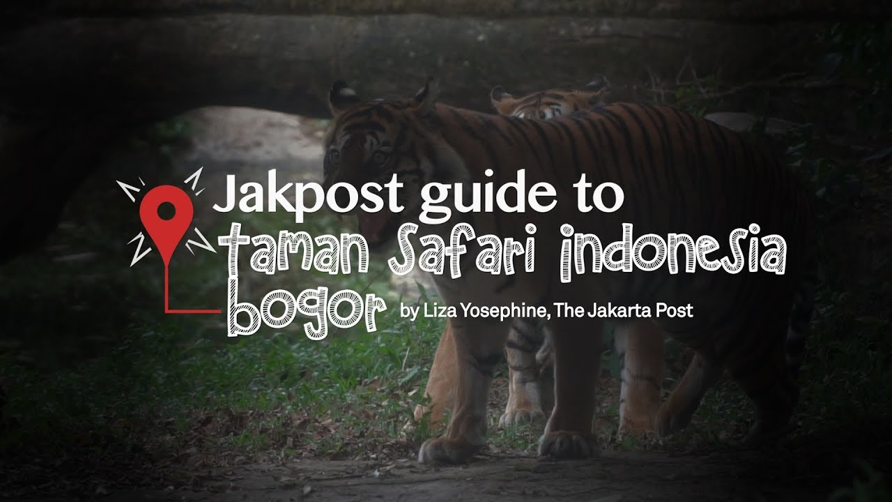 Jakpost guide to Taman Safari Indonesia – Bogor