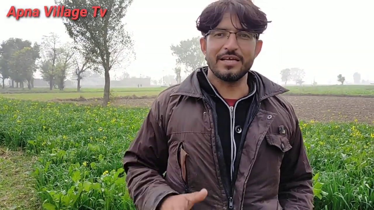 janwaron ka Chara | Chara cutting vlog | daily routine |