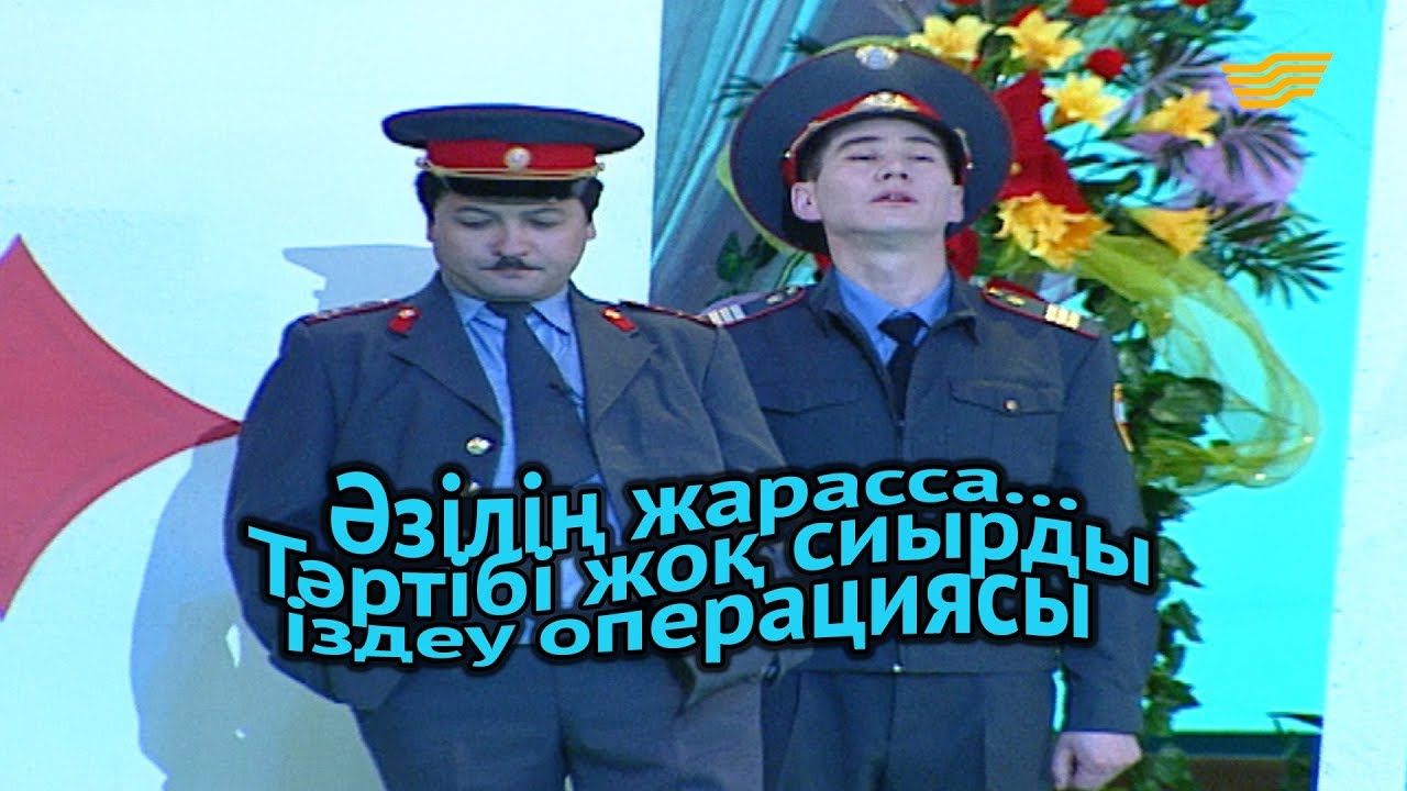 «Әзілің жарасса...». Тәртібі жоқ сиырды іздеу операциясы