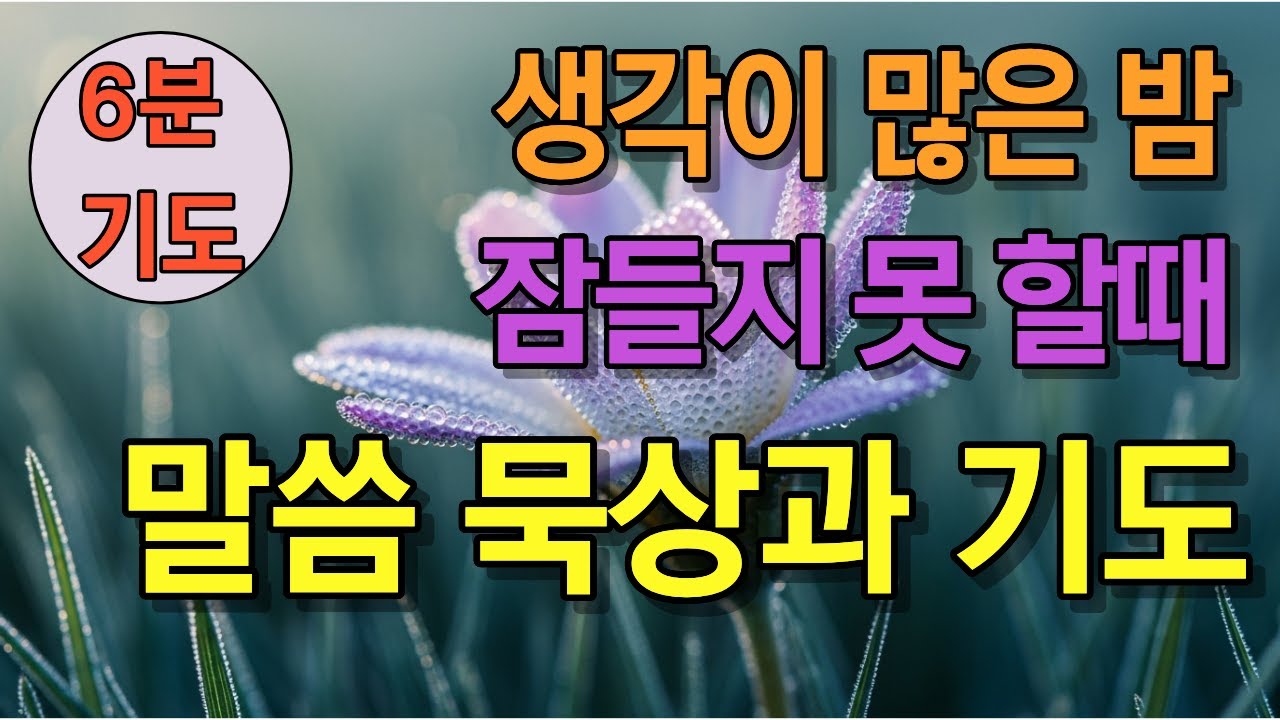 생각이 많은 밤에 듣는 말씀│회복의 말씀│포기하지않으시는 하나님│생명의하나님│말씀의 위로│6분기도│함께기도해요│회복의핵심말씀│잠자기전기도해요