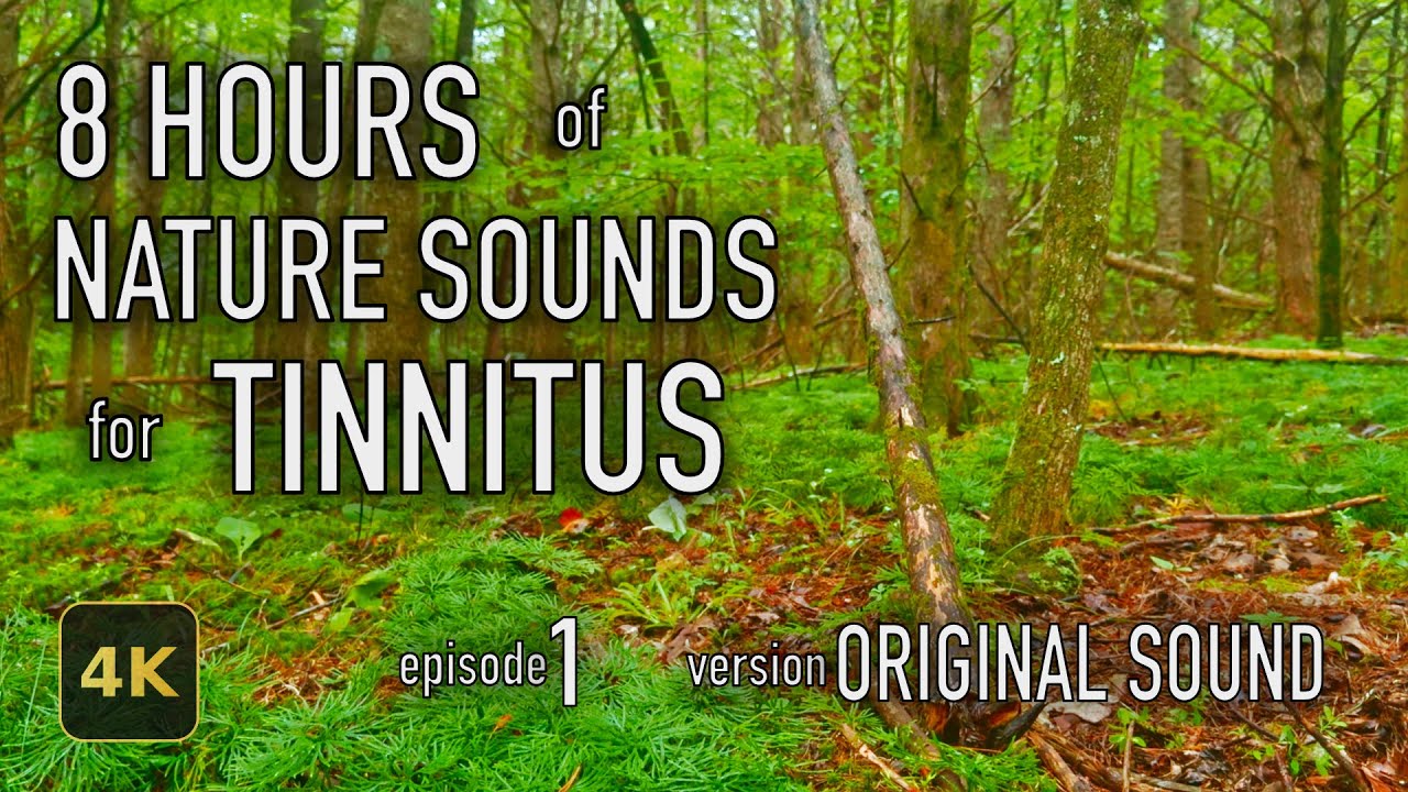 8 Hours Nature Sounds for Tinnitus — EP 1 | [Original] | 4K HDR10 - E01-ORIG