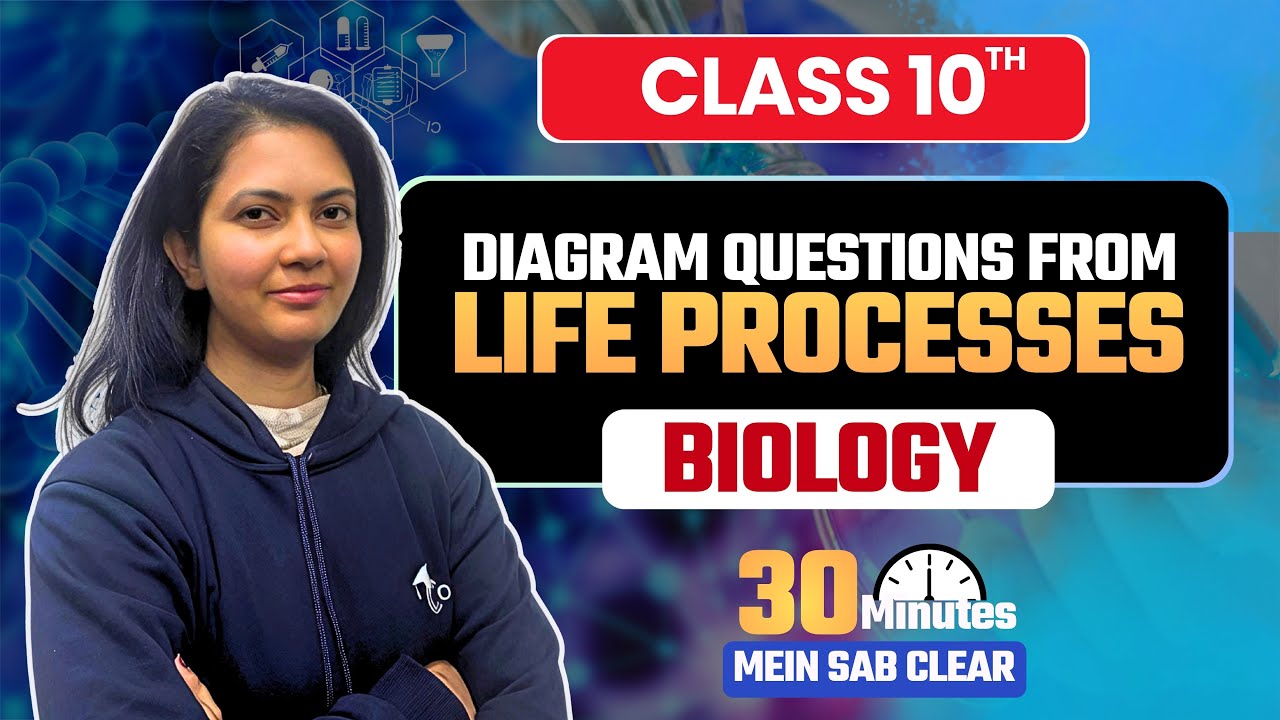 Diagram questions from Life Processes 🌱| Hum bana denge simple & scoring | Class 10th Biology