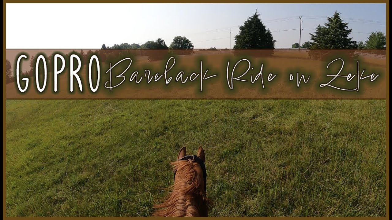GoPro ride on Zeke BAREBACK! || With Ten LOOSE in the pasture?!