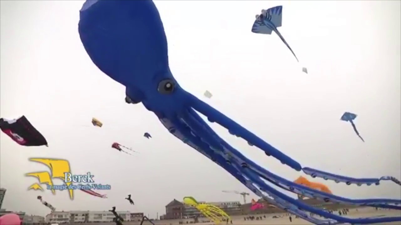 Émission spéciale : Berck-sur-mer, la magie des cerfs-volants !