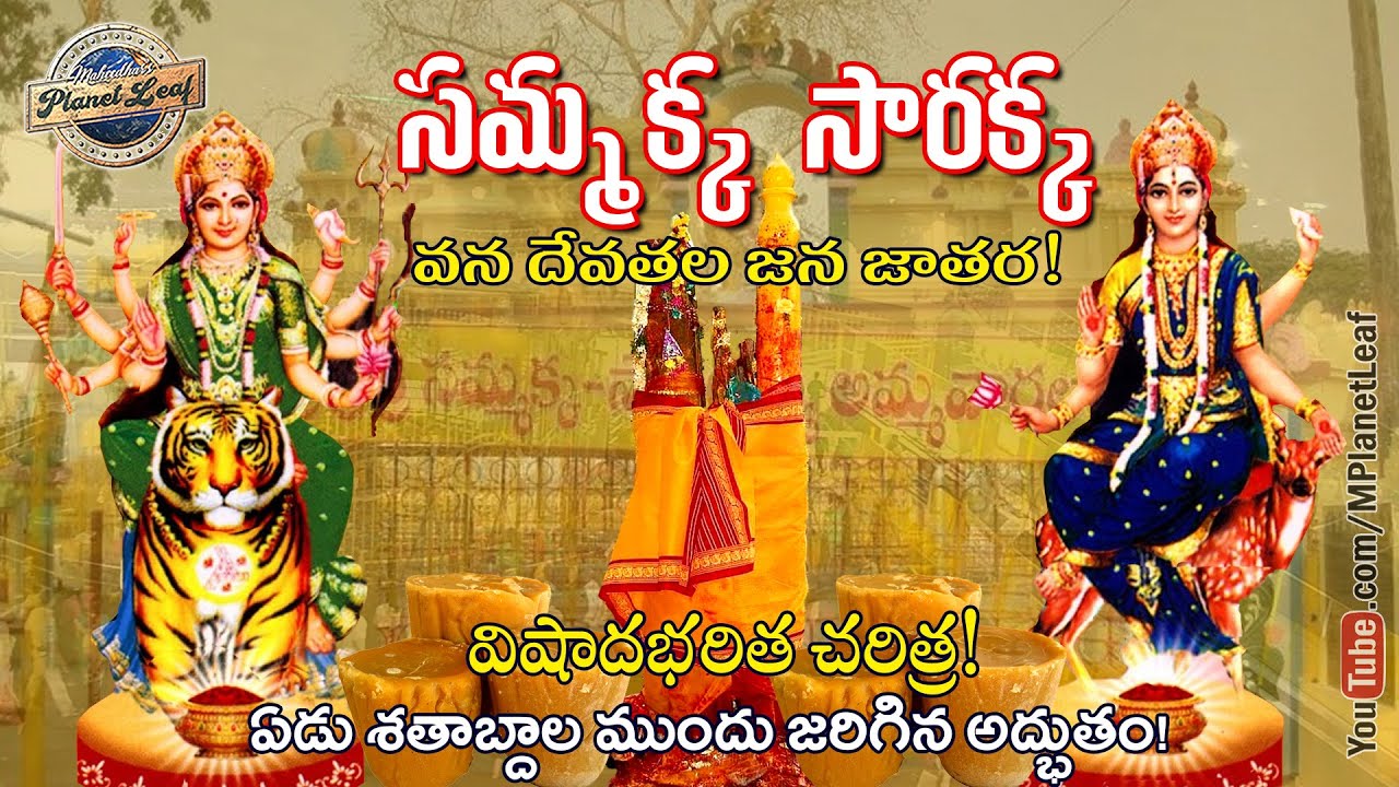 సమ్మక్క సారలమ్మల చరిత్ర! | History of Tribal Goddesses Sammakka Sarakka | MPlanetLeaf