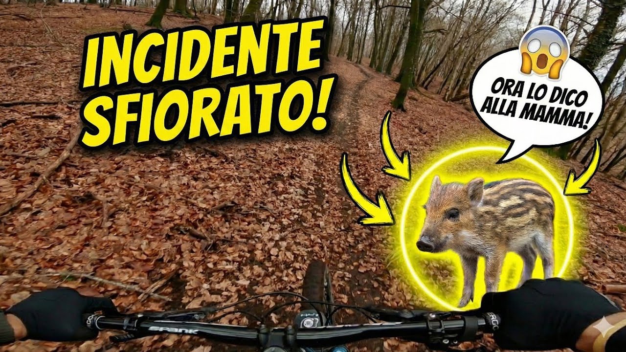 Monte Fogliano - Katun - GoPro Hero 6