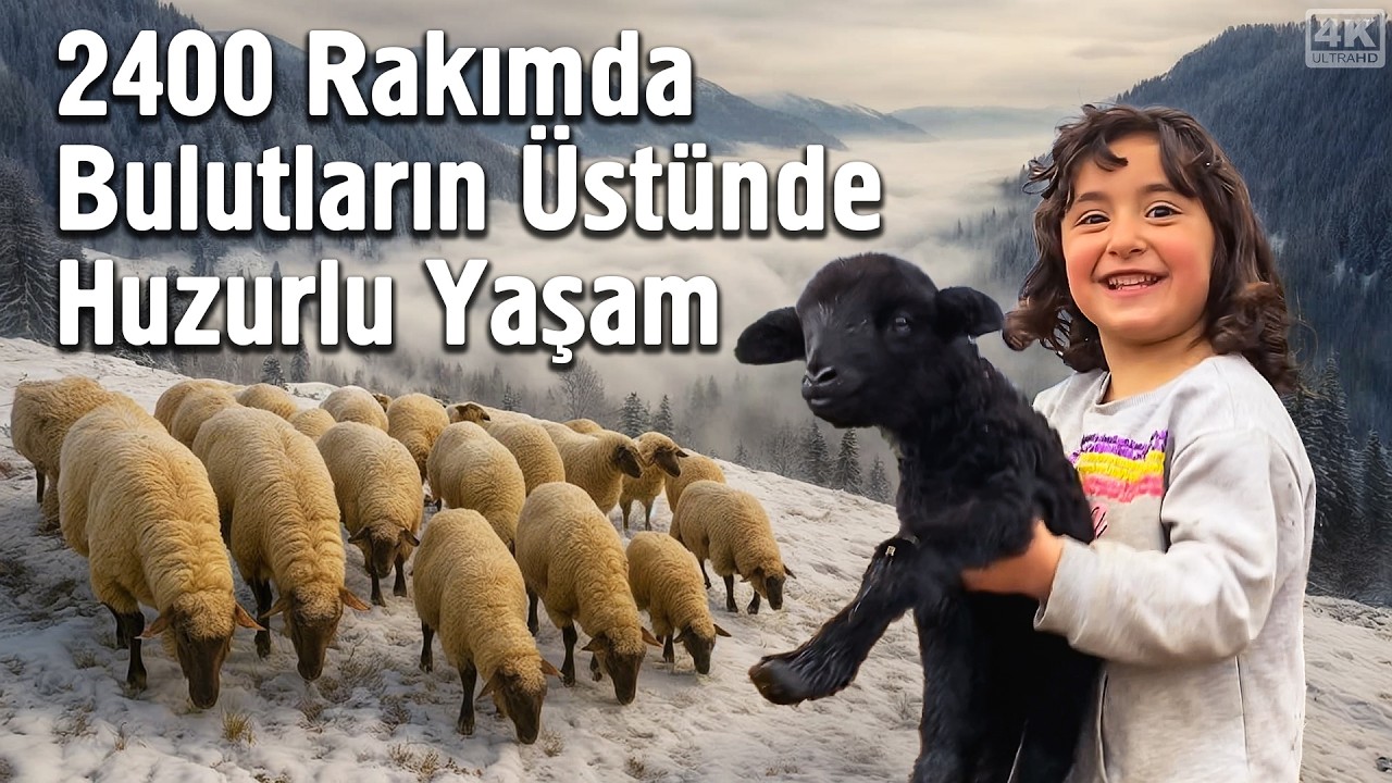 2400 Rakımda Bulutların Üstünde Huzurlu Yaşam - Artvin
