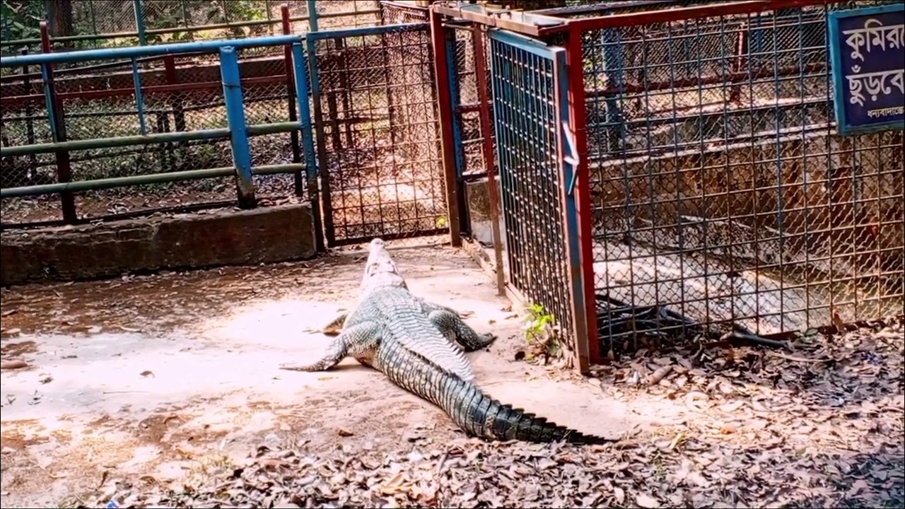 জীবজন্তুর মেলা বাংলাদেশ জাতীয় চিড়িয়াখানা মিরপুর ১ 