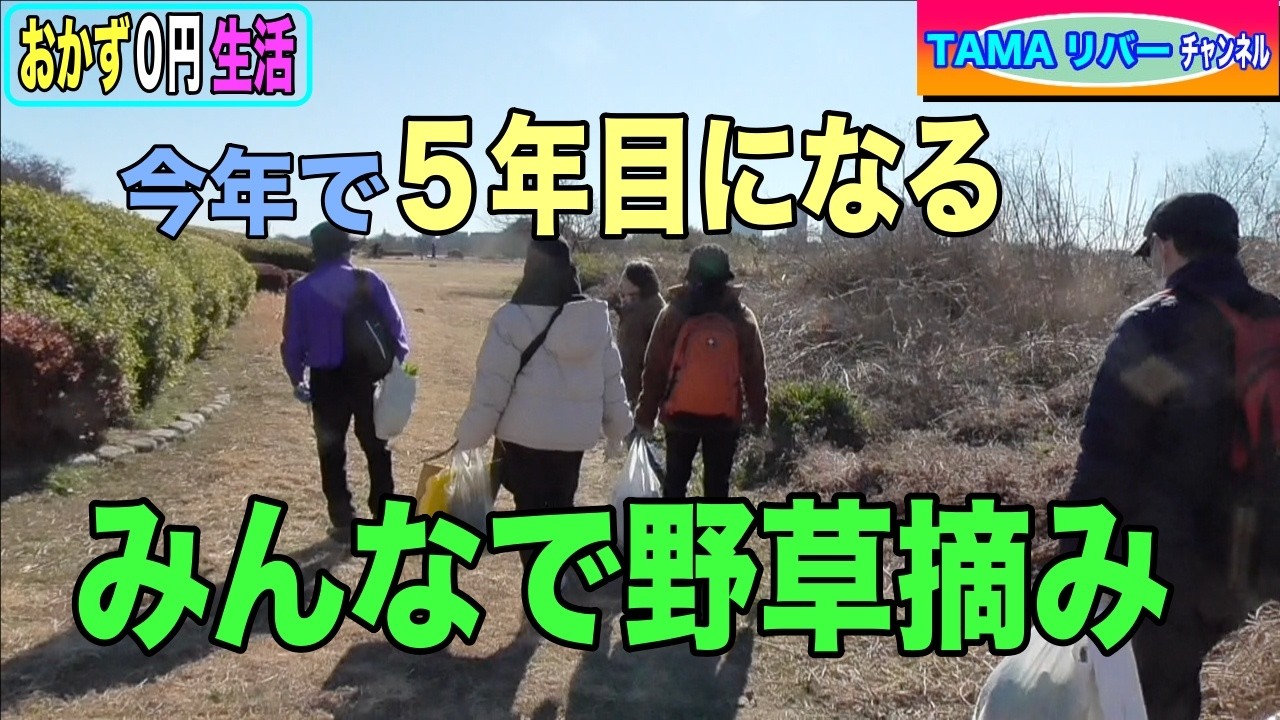 【おかず０円生活】多摩川河川敷、５年目の「みんなで野草摘み」イベント