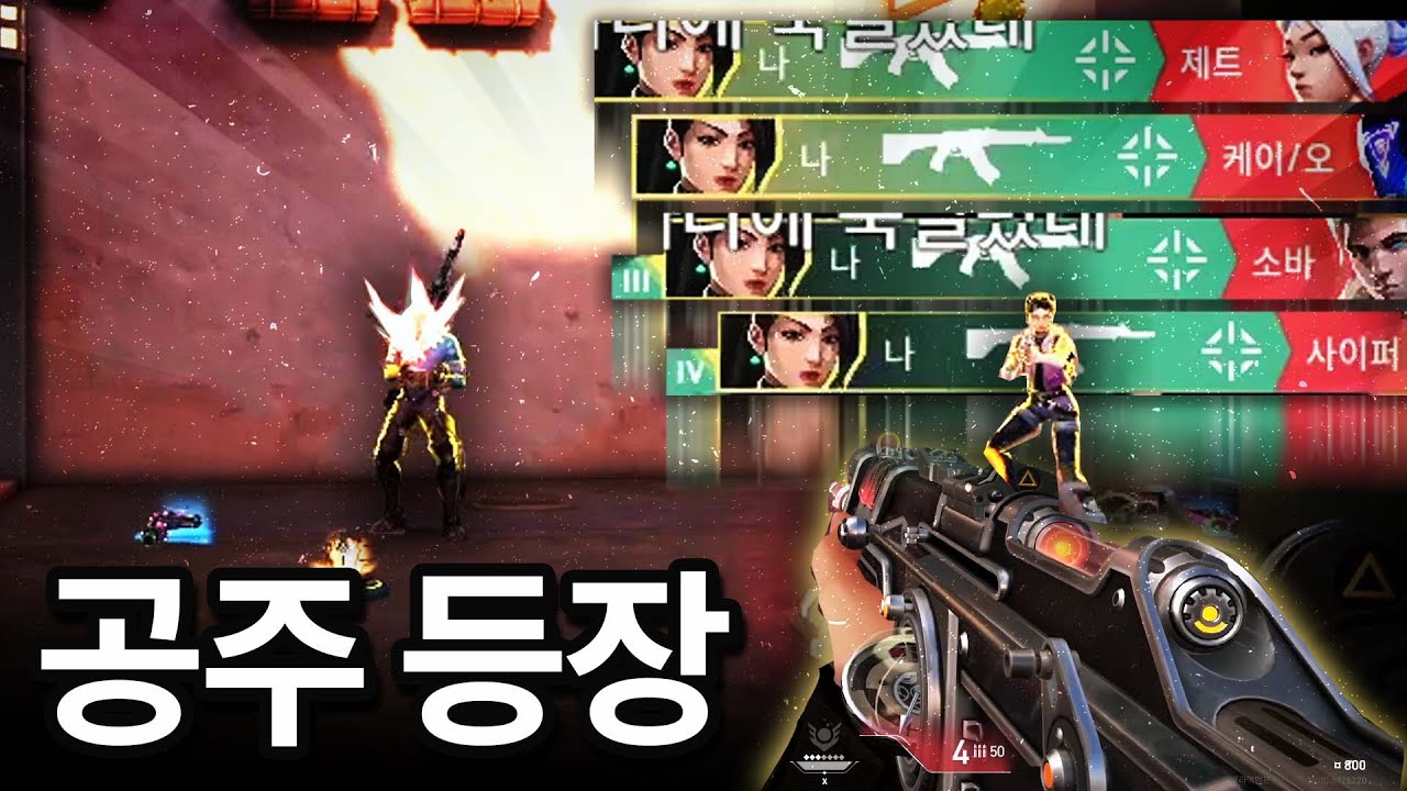 세이지 버프 대체 왜 한거냐 라이엇?