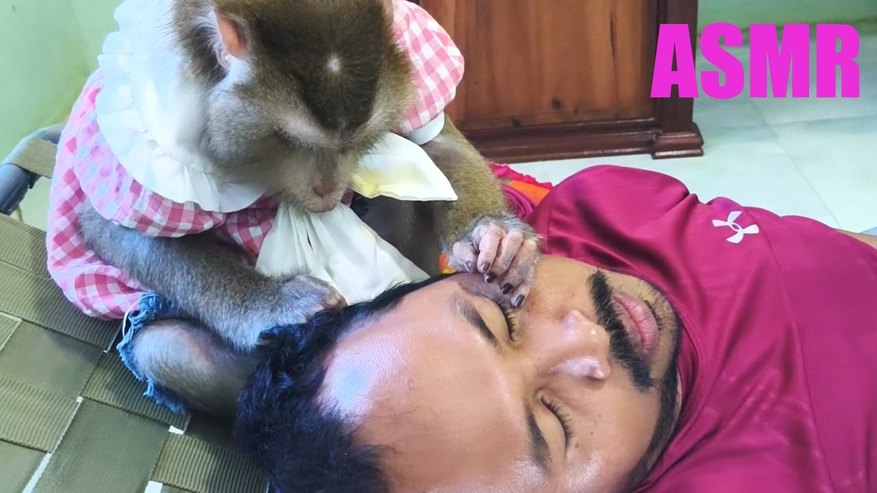 ASMR Calm Tingles Grooming, Monkey Sounds For Deep & Relaxing Sleep Soft Hair Picking