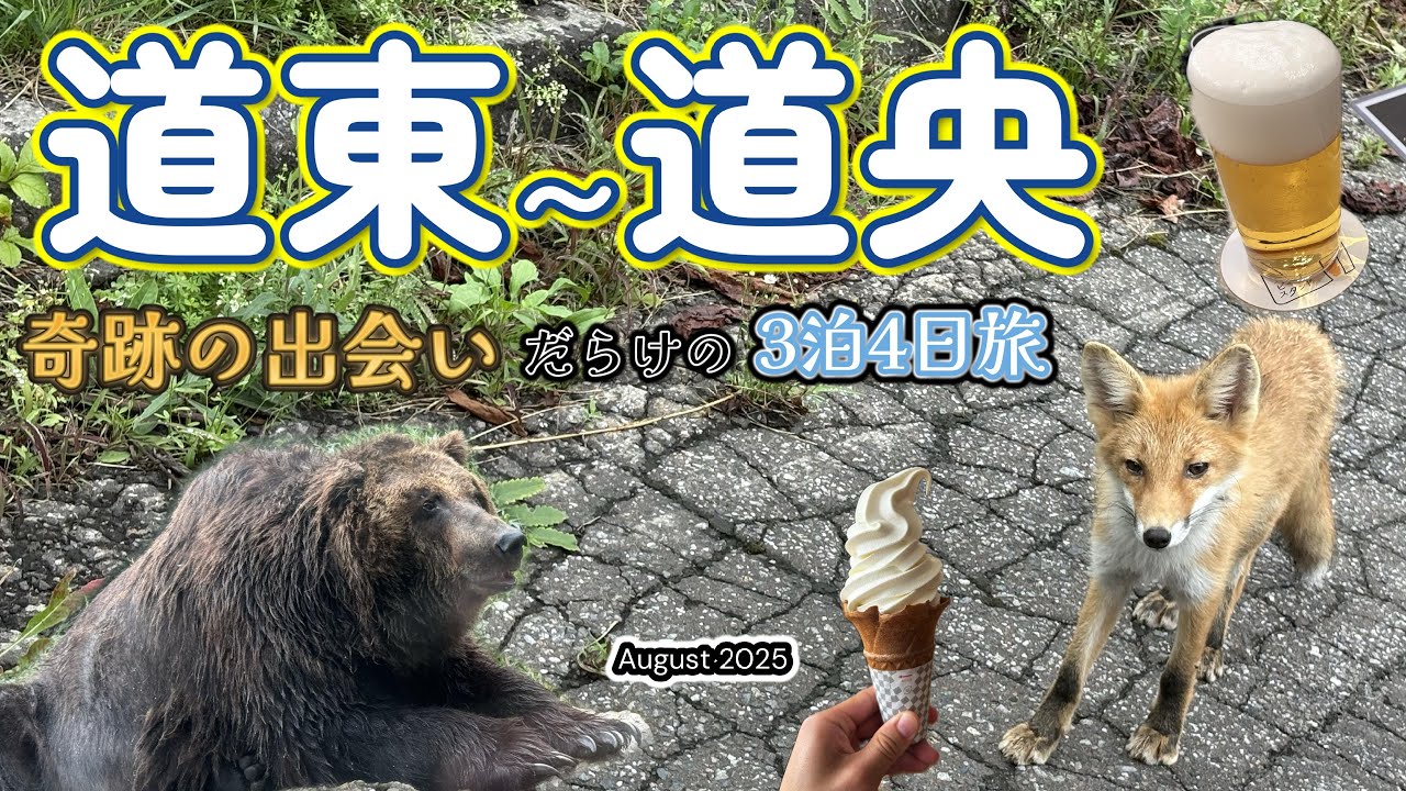 【北海道ドライブ旅】道東〜道央3泊4日🌈動物も絶景も奇跡だらけ🦌🦊🐻！