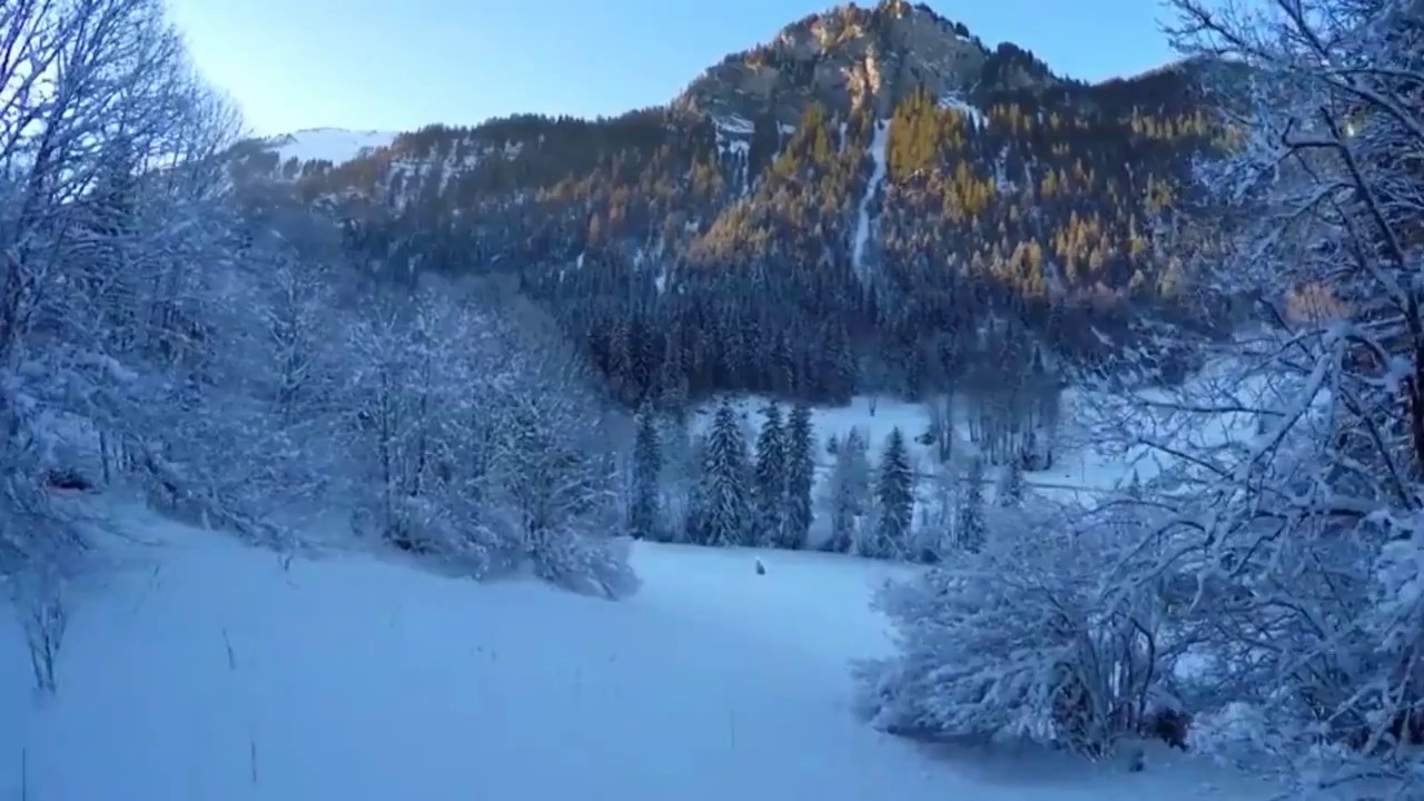 ZAZ  
