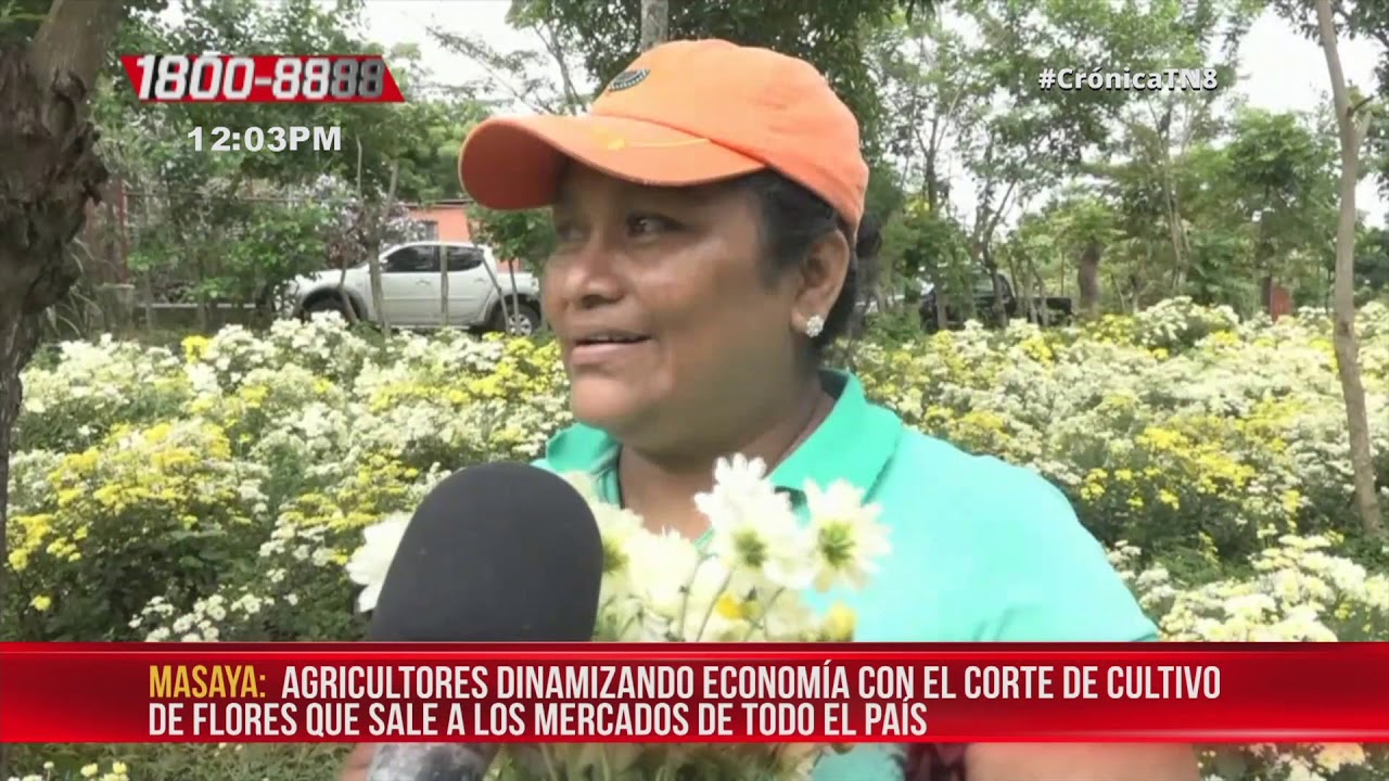 Nicaragua: Masaya, Ciudad de las Flores, sus campos lo confirman