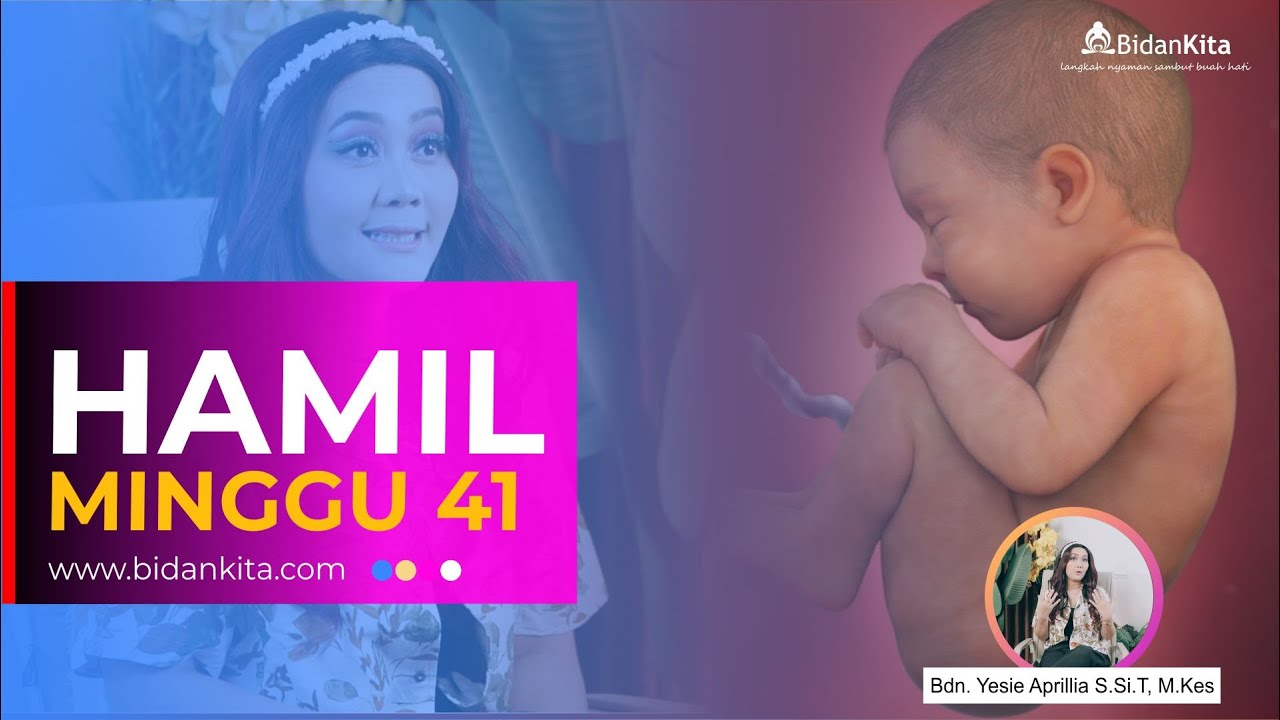 MINGGU 41- KEHAMILAN DARI MINGGU KE MINGGU