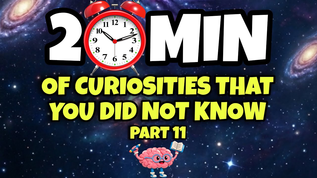 20 MINUTES OF CURIOSITIES AND THINGS YOU DIDN&rsquo;T KNOW 🧠⏰ #11