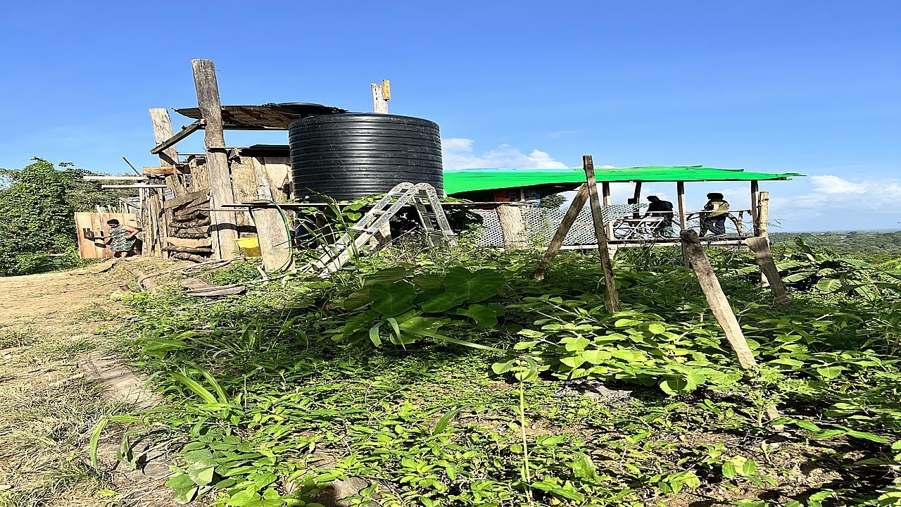 Retirees Christmas Jungle Lunch Trinidad