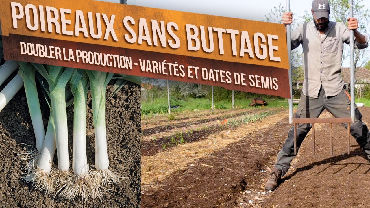Poireaux Sans Buttage - Variétés et dates de Semis, Plantation et Récolte -  Permaculture