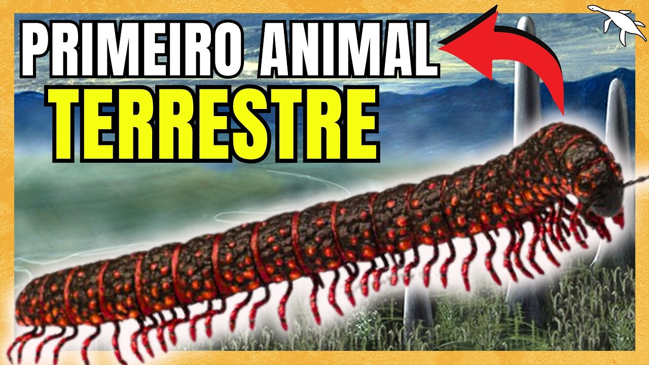 SILURIANO: quando a VIDA foi pra TERRA FIRME