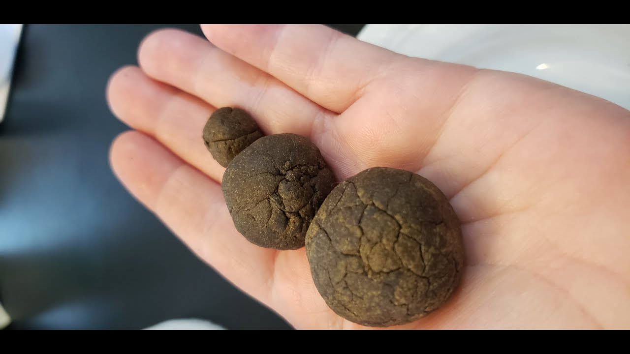 Making Hand Kief Hash at Home