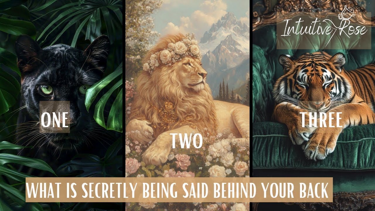 WHAT IS SECRETLY BEING SAID BEHIND YOUR BACK**Pick A Card**🤫👨🏾‍⚖️🤑🤎🔎🏘️👑🤯👩🏽‍🏫🌹✨
